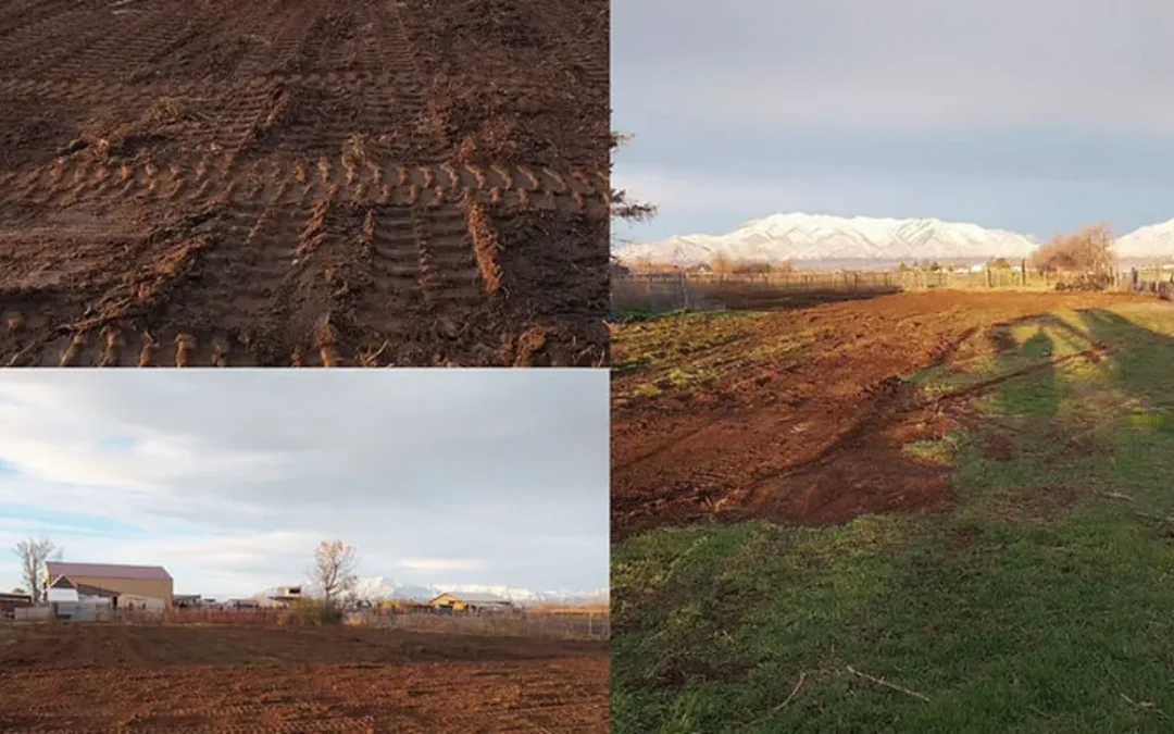 Land Clearing & Environmental Regulations: What You Need to Know